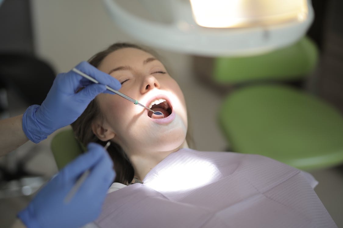 dentist willowdale